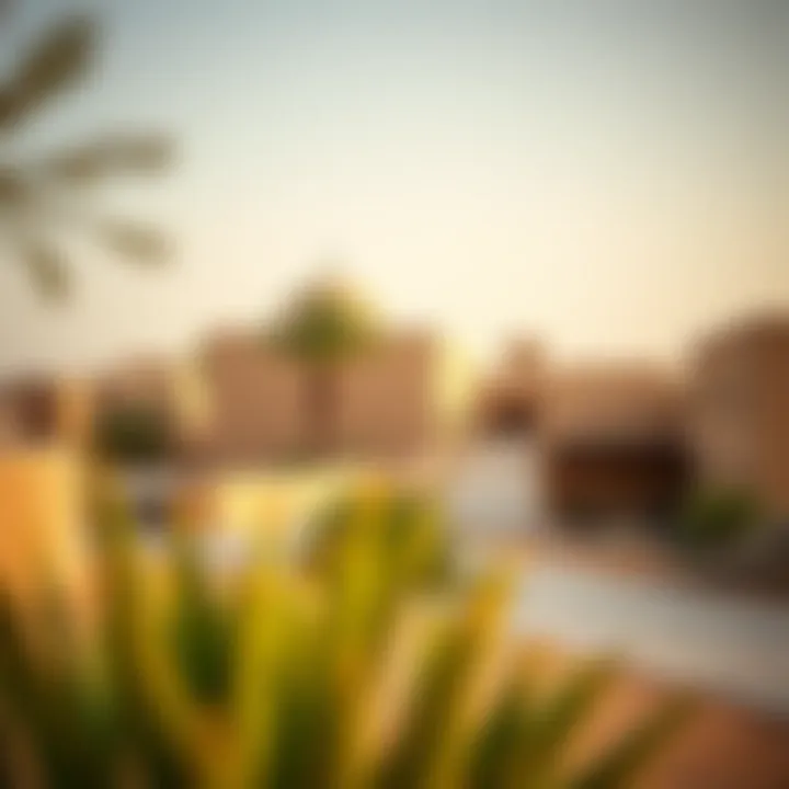 Magnificent Exploring the Significance of Al Ain Village in Dubai's Cultural Landscape