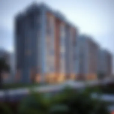 A Comprehensive Examination of Prime Mizhar: Insights into a Strategic Dubai Suburb Summary A Comprehensive Examination of Prime Mizhar: Insights into a Strategic Dubai Suburb Summary