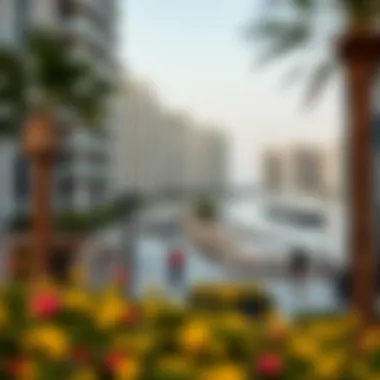 A Comprehensive Guide to Living in the UAE Summary A Comprehensive Guide to Living in the UAE Summary