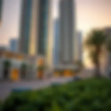 Economic Growth in UAE Investment growth in UAE economy
