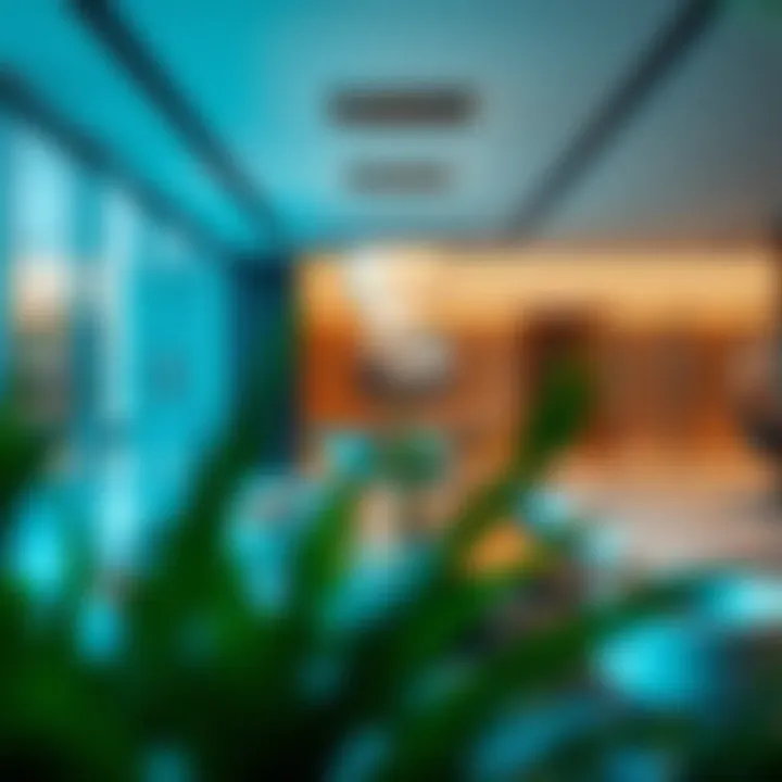 Luxurious Office Spaces in Al Maya DIFC Inside view of a luxury office space within Al Maya DIFC