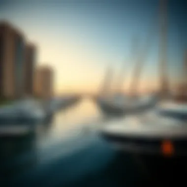 Marina Life at Al Maya Reem Island A bustling marina on Al Maya Reem Island with luxurious yachts