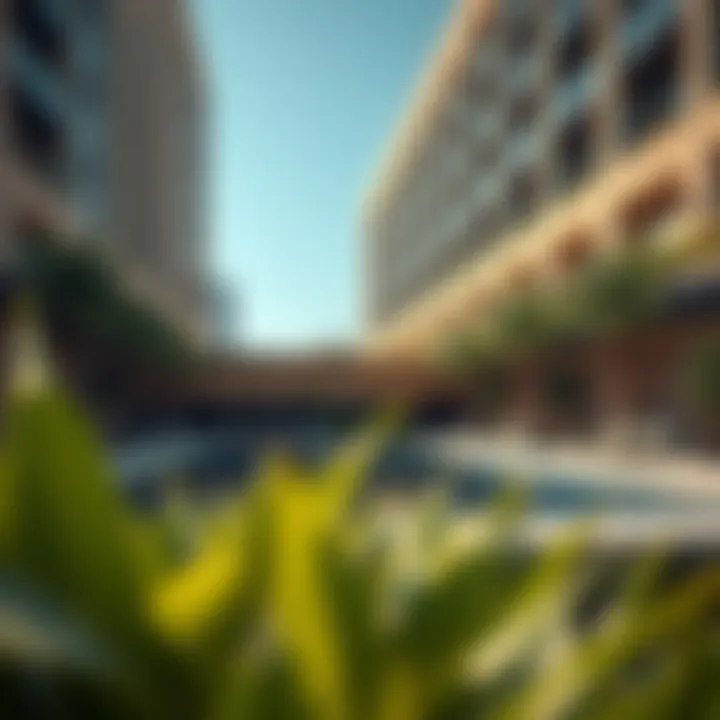 Modern amenities and facilities available for residents in DDC Discovery Gardens