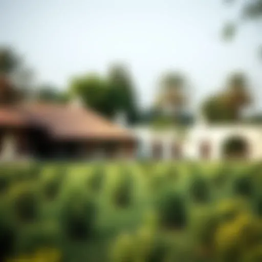 A serene farmhouse landscape in the UAE showcasing lush greenery and traditional architecture.