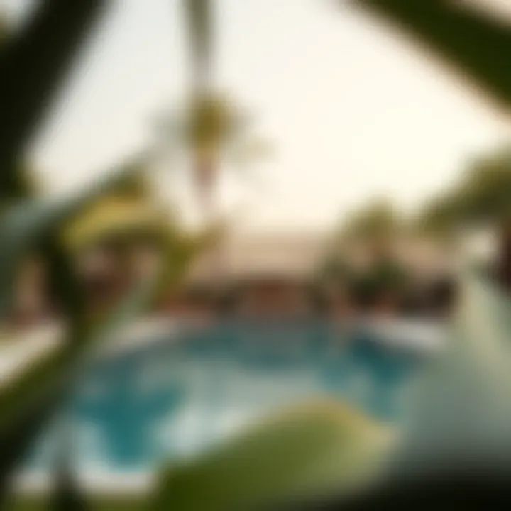 Serenity at the Outdoor Pool Tranquil outdoor pool area surrounded by exotic plants