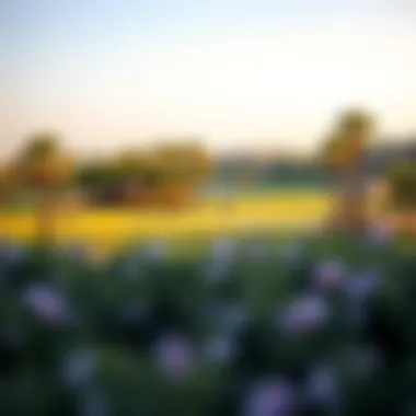 Luxurious community amenities including a golf course and parks