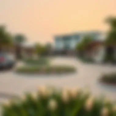 Diverse types of agricultural properties available in Dubai