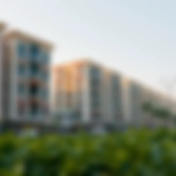 Investment opportunities in الخوانيج ووك