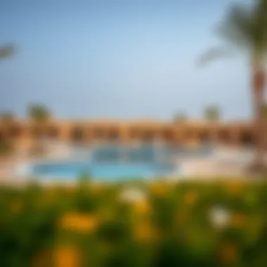 Amenities and Facilities in Al Reef Desert Village Community amenities in Al Reef Desert Village