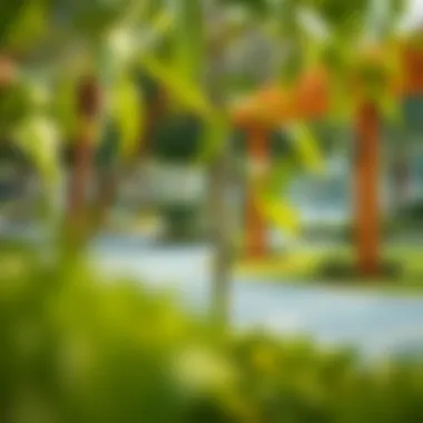 Notable Exploring Al Twar Park: A Comprehensive Guide Notable Exploring Al Twar Park: A Comprehensive Guide