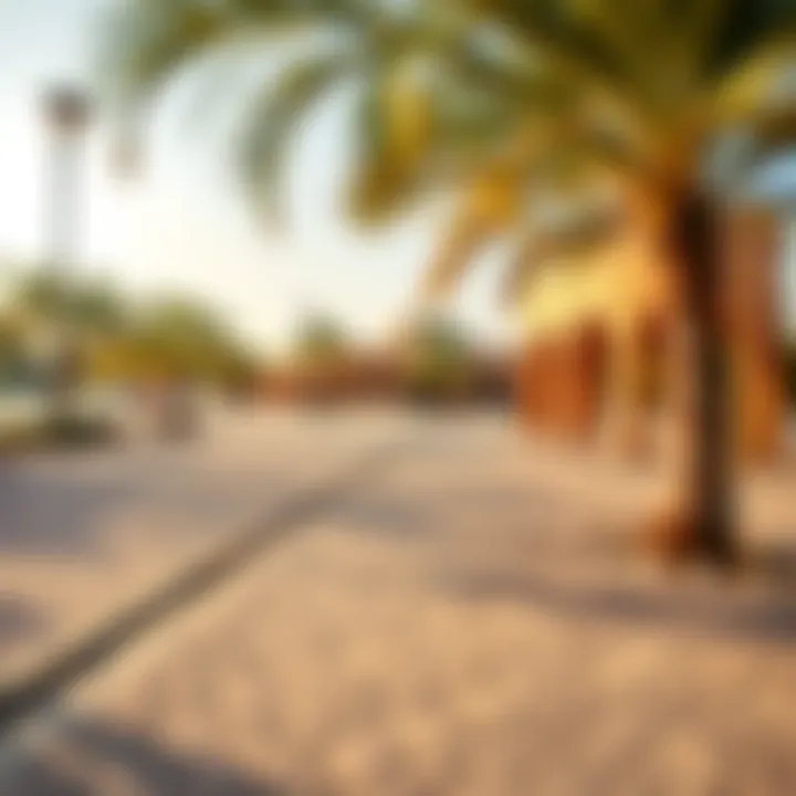 Exploring Al Twar Park: A Comprehensive Guide Summary Exploring Al Twar Park: A Comprehensive Guide Summary