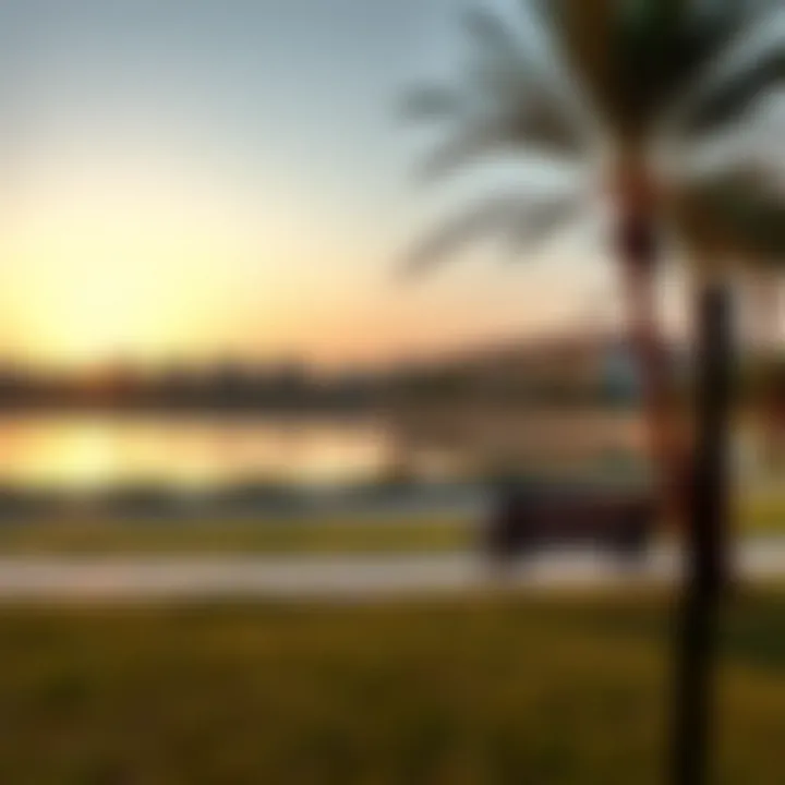 Serene Lake View in Al Warqa 3 Park Serene lake view surrounded by benches at Al Warqa 3 Park