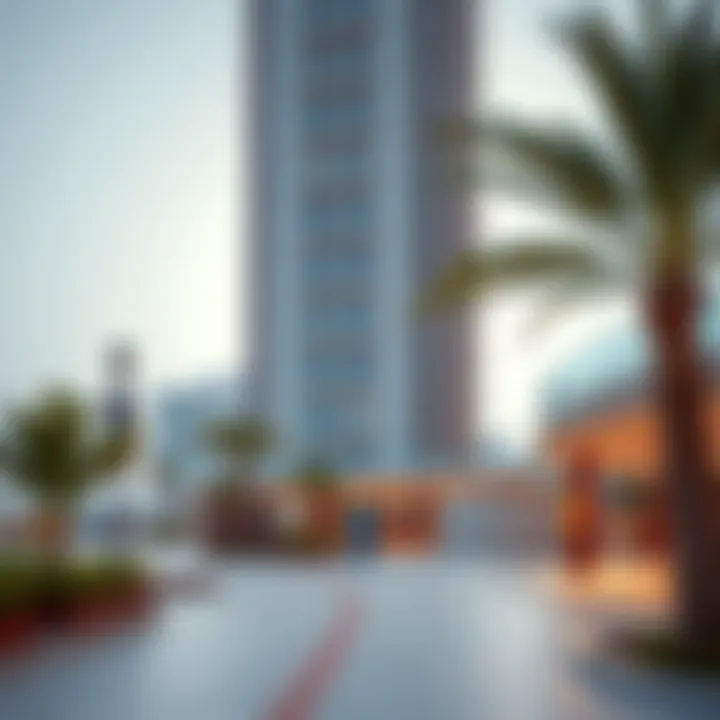 Visual representation of amenities surrounding Baheen Tower