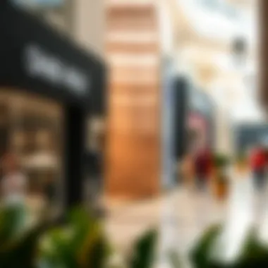 Diverse Retail Storefronts in Dubai Mall A diverse array of retail storefronts capturing the essence of Dubai Mall.