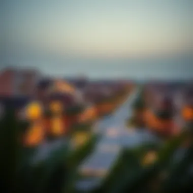 Vibrant Community Overview Overview of a vibrant villa community