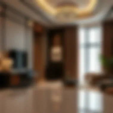 Interior design of a luxury apartment in Eden House