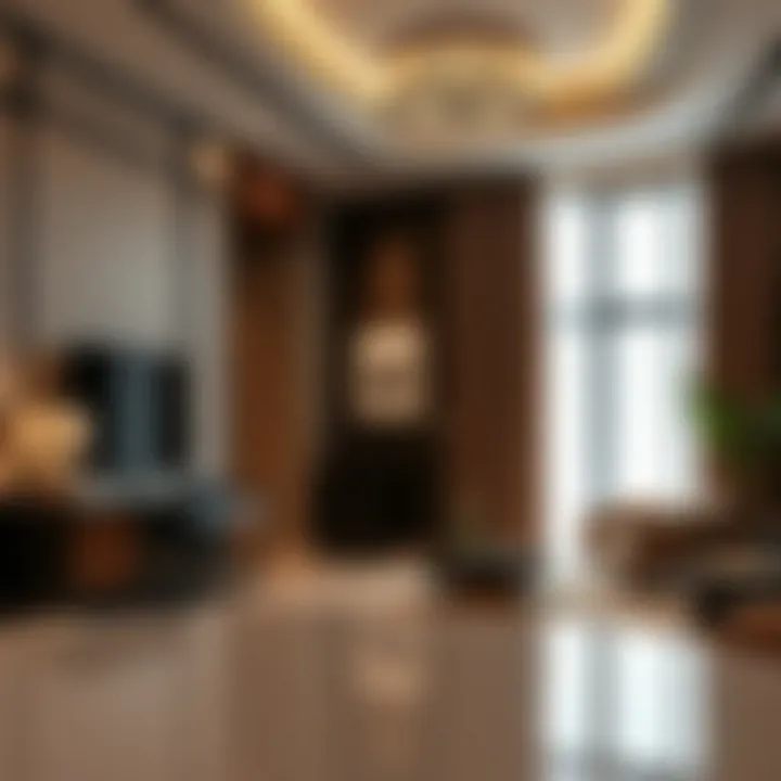 Interior design of a luxury apartment in Eden House