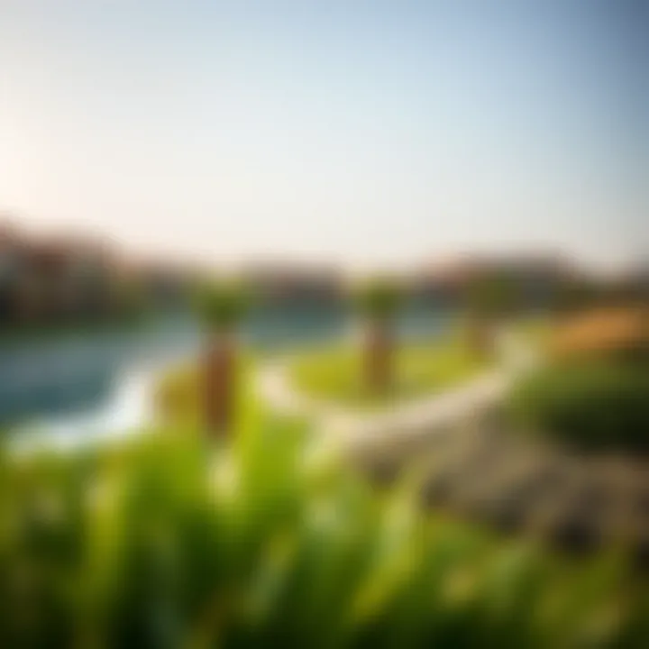 Landscape design and greenery surrounding Emaar Creek Waters