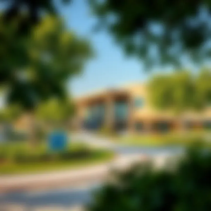 Community Park in MBR City District One Vibrant community park in MBR City District One with lush greenery and recreational facilities