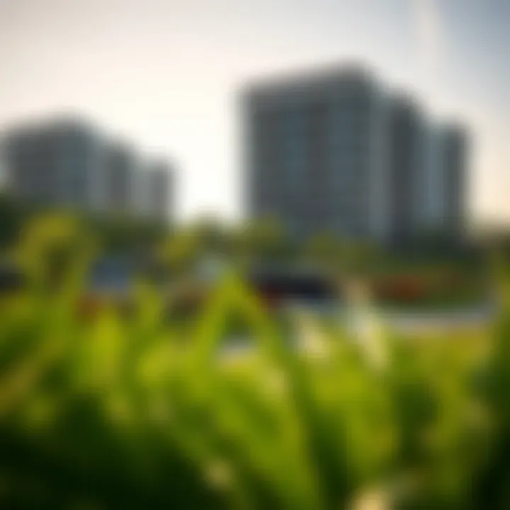 Lush Greenery and Modern Architecture in Mudon Al Ranim Stunning landscape of Mudon Al Ranim showcasing lush greenery and modern architecture