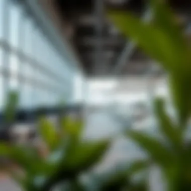 Amenities in Modern Offices Open office environment with various amenities