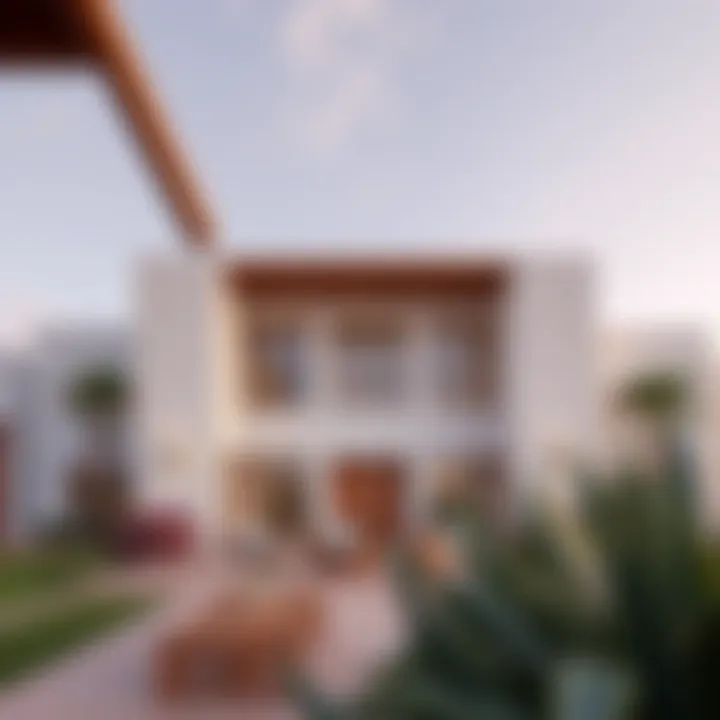 Investment Potential in Dubai Ranches Investment potential in Dubai ranches highlighted by modern amenities