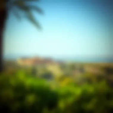 Ras Al Khor Wildlife Sanctuary Scenic views of Ras Al Khor wildlife sanctuary, showcasing natural beauty