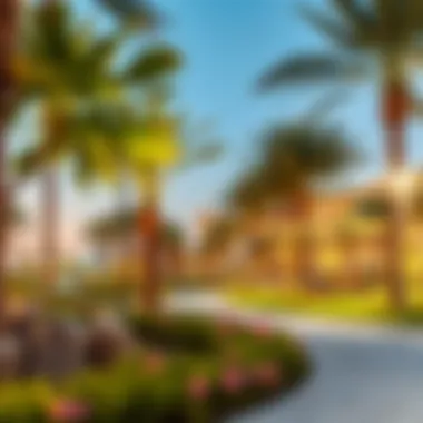 Community Park in Dubai Vibrant community park in a Dubai neighborhood