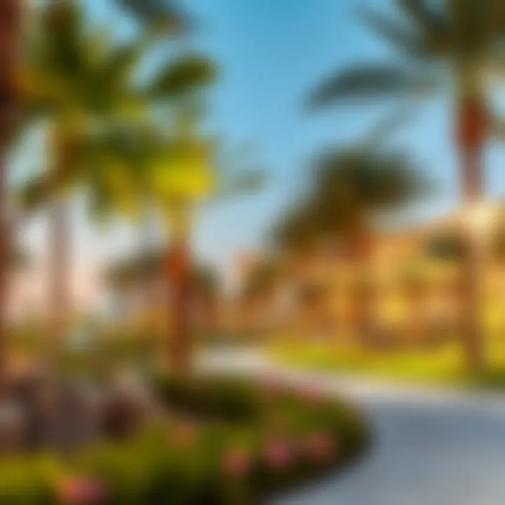 Community Park in Dubai Vibrant community park in a Dubai neighborhood