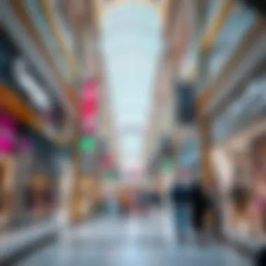 Value Shopping Area at Dubai Mall Aesthetic value shopping area within Dubai Mall featuring various brands