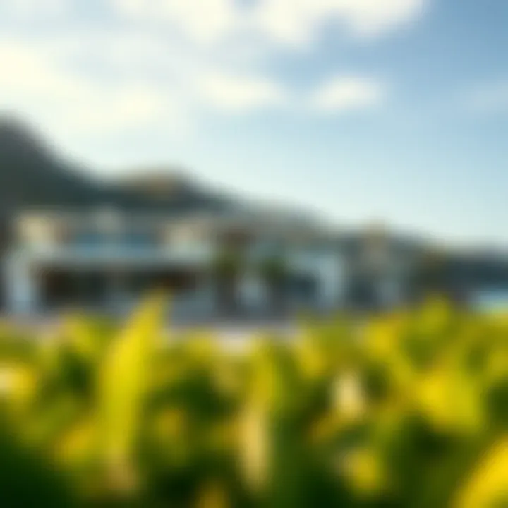 Luxurious Beachfront Properties Luxurious beachfront properties along Rosso Bay's shoreline