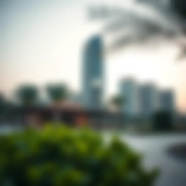 Amenities surrounding Sidra Tower including parks and cafes
