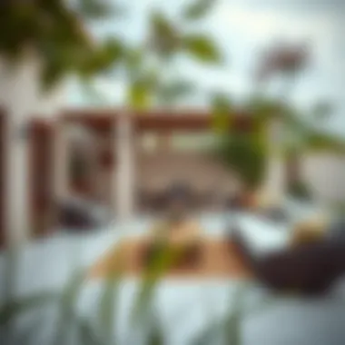 Relaxing Outdoor Space of a Farmhouse Relaxing outdoor space of a UAE farmhouse