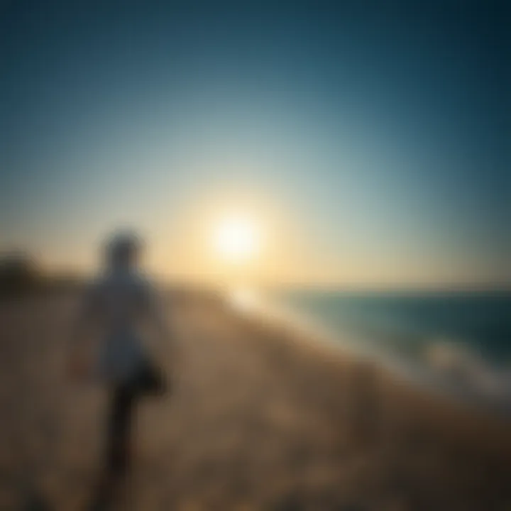 Exploring the Open Beach of Jumeirah Introduction