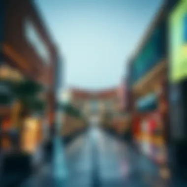 Impact of Wadi Mall on Local Economy Economic development around Wadi Mall