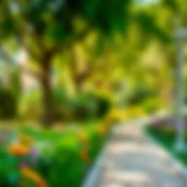 Lush Green Park in Dubai Lush green park with walking paths and vibrant flowers