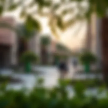 Community Vibrancy in Manazil Al Muraqqabat Vibrant community spaces and parks in the neighborhood