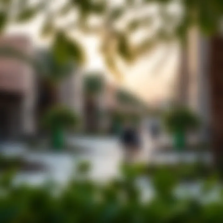 Community Vibrancy in Manazil Al Muraqqabat Vibrant community spaces and parks in the neighborhood