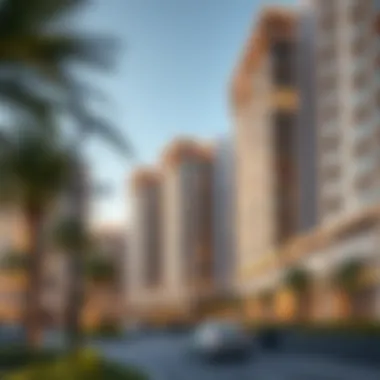 Future Development Plans in Roxy Khawaneej Future development plans for Roxy Khawaneej