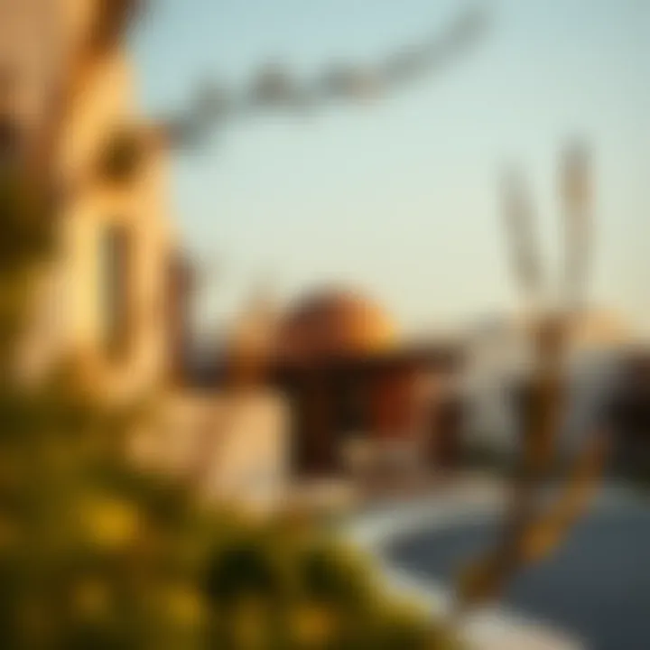 Investment Potential of Shams Townhouses Investment potential of Shams Townhouses