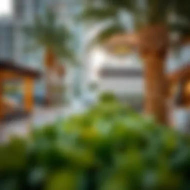 Amenities Near Swiss Tower Luxurious amenities surrounding Swiss Tower