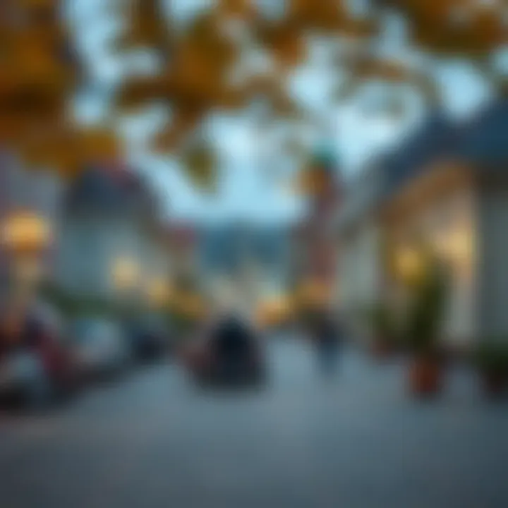 Social Dynamics in the Danube Region Social dynamics influenced by the Danube Project