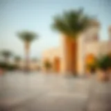 The Location and Significance of Liwa: An In-Depth Exploration Introduction