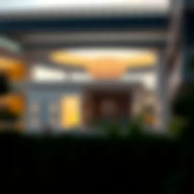The UAE Property Auction Landscape Introduction