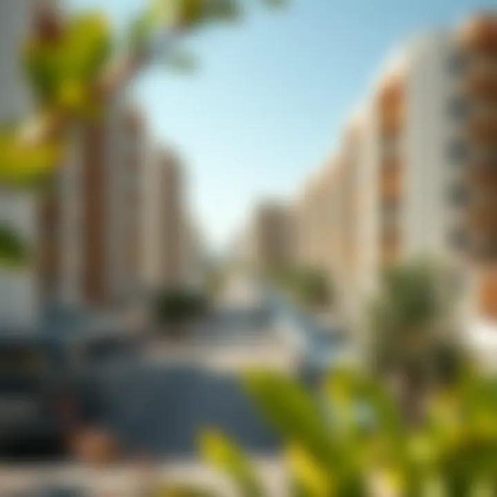 Notable Understanding 1 BHK Monthly Rent in Dubai