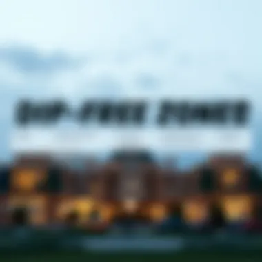 Infographic illustrating the benefits of dip free zones for investors