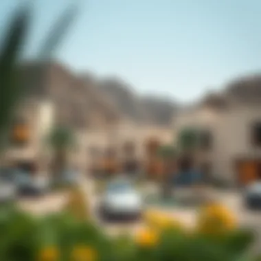 Understanding Wadi Al Shouka: Key Insights for Investors and Buyers Summary Understanding Wadi Al Shouka: Key Insights for Investors and Buyers Summary