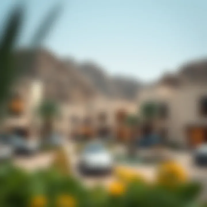 Understanding Wadi Al Shouka: Key Insights for Investors and Buyers Summary Understanding Wadi Al Shouka: Key Insights for Investors and Buyers Summary