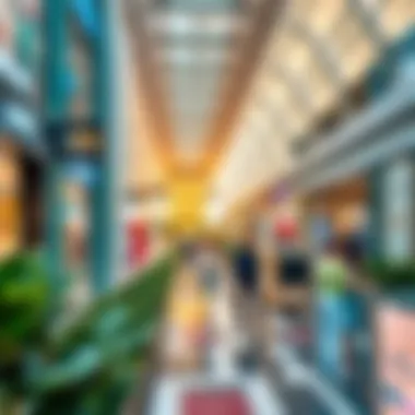Vibrant Retail Landscape at Zayed Shopping Center Interior of Zayed Shopping Center highlighting diverse retail options